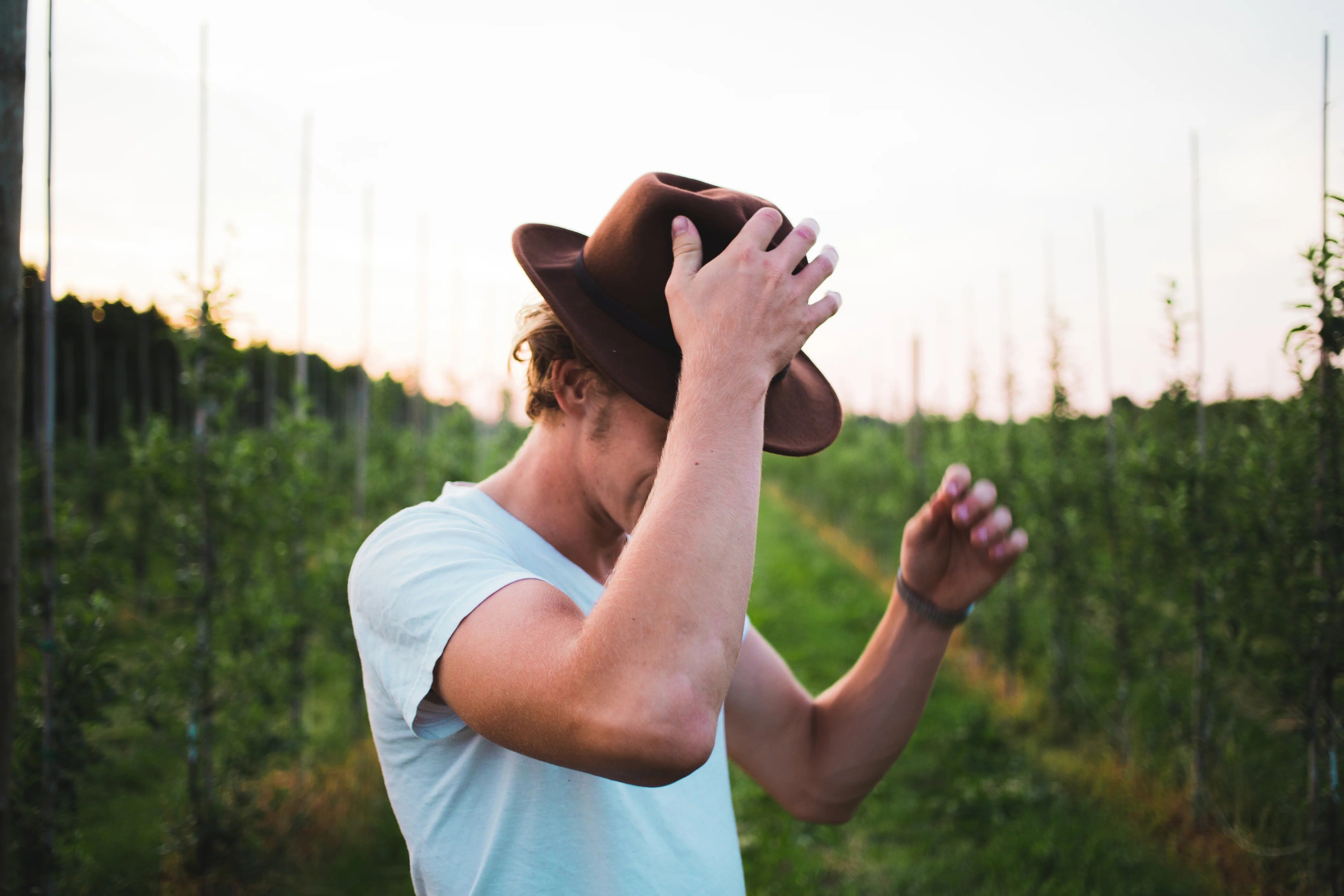 files/imgi_32_the-man-in-the-hat.jpg